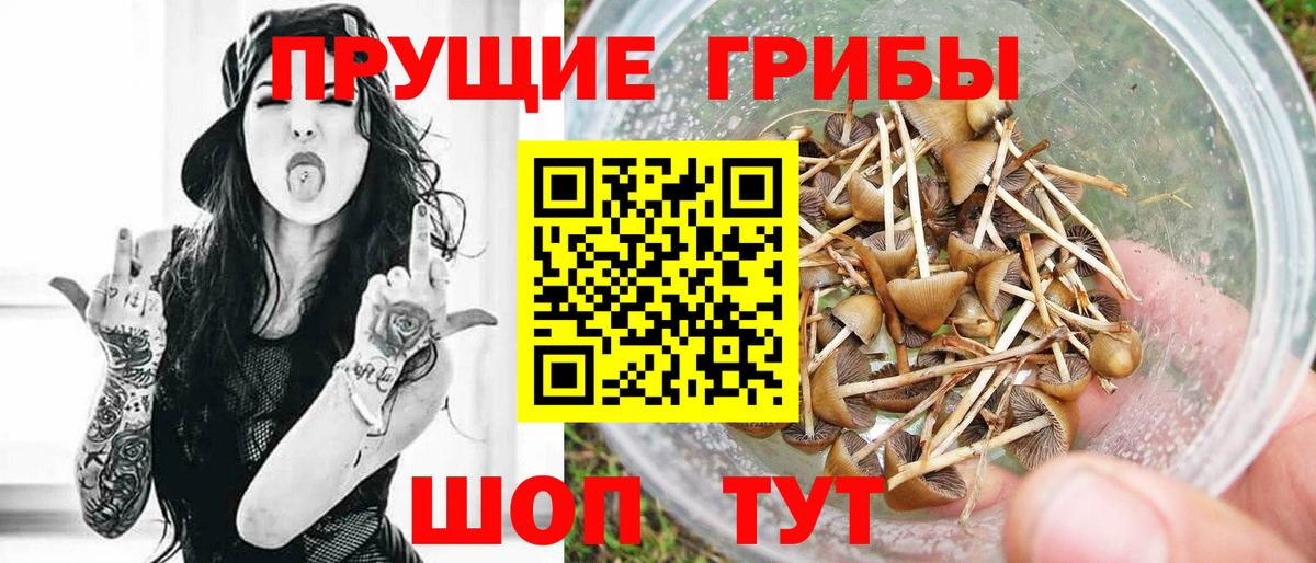 Псилоцибиновые грибы MAGIC MUSHROOMS  сколько стоит  Нарткала  Вход с VPN 