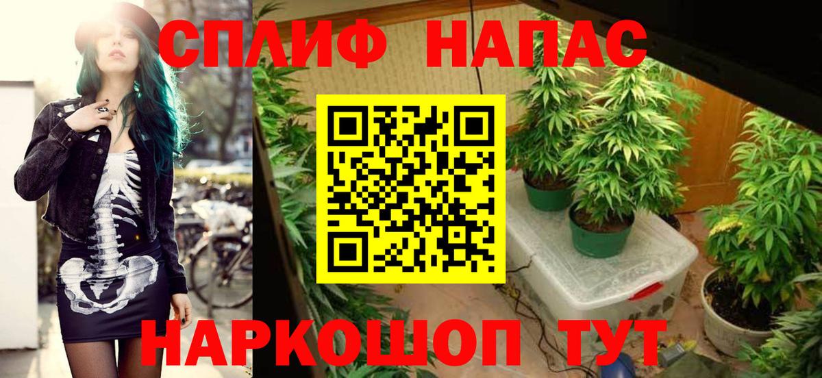 Шишки марихуана конопля  Шишки марихуана Amnesia  Вход с VPN  Нарткала 